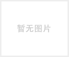 FLIR菲力尔T600/T610/T620/T640/T660热成像相机